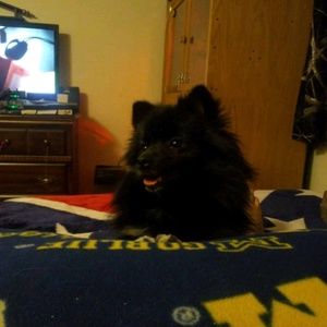 Meet your Posher, Beth